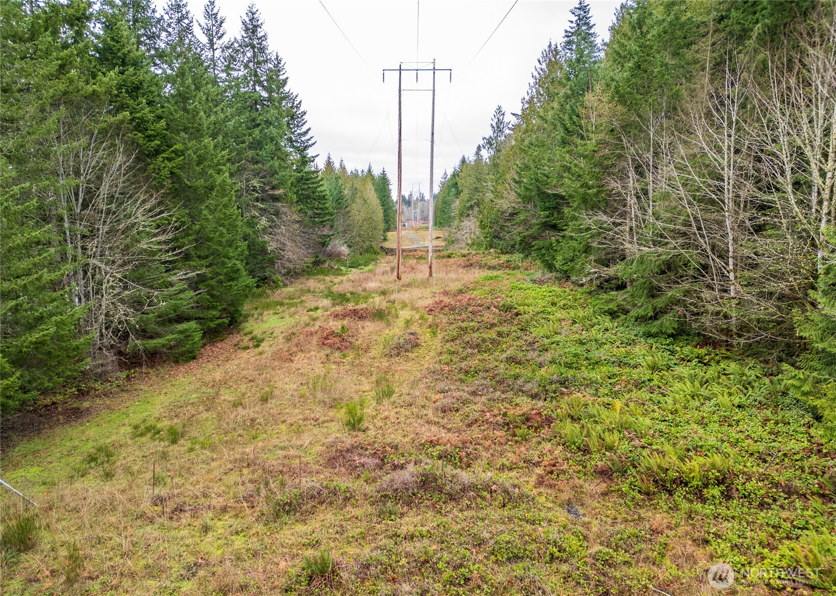 -nka East Scribner Road Port Angeles, WA 98362 - Photo 19 of 33 a view of outdoor space and yard
