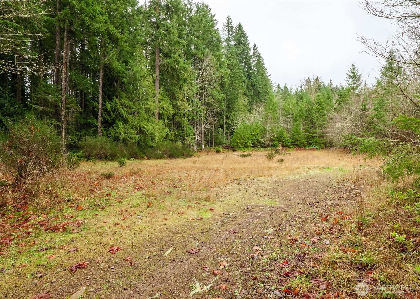 -nka East Scribner Road Port Angeles, WA 98362 - Photo 24 of 33 a view of a yard with trees