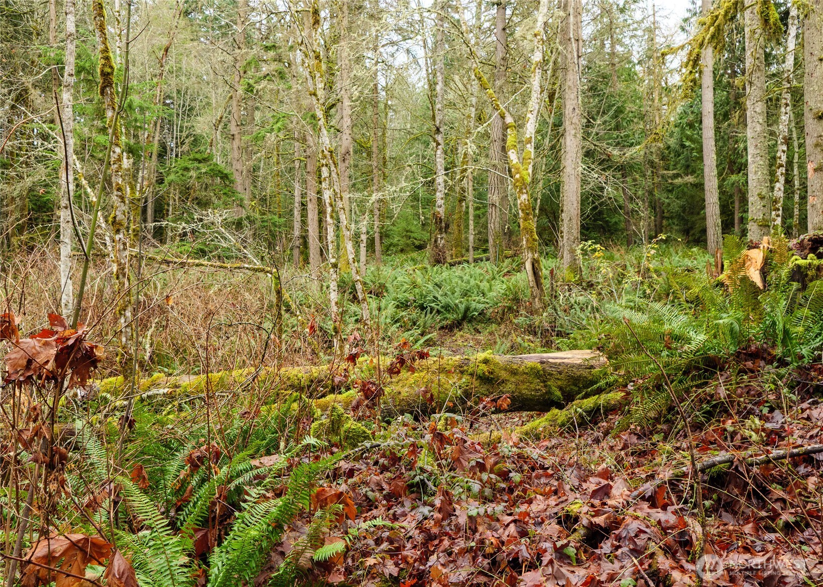 -nka East Scribner Road Port Angeles, WA 98362 - Photo 28 of 33