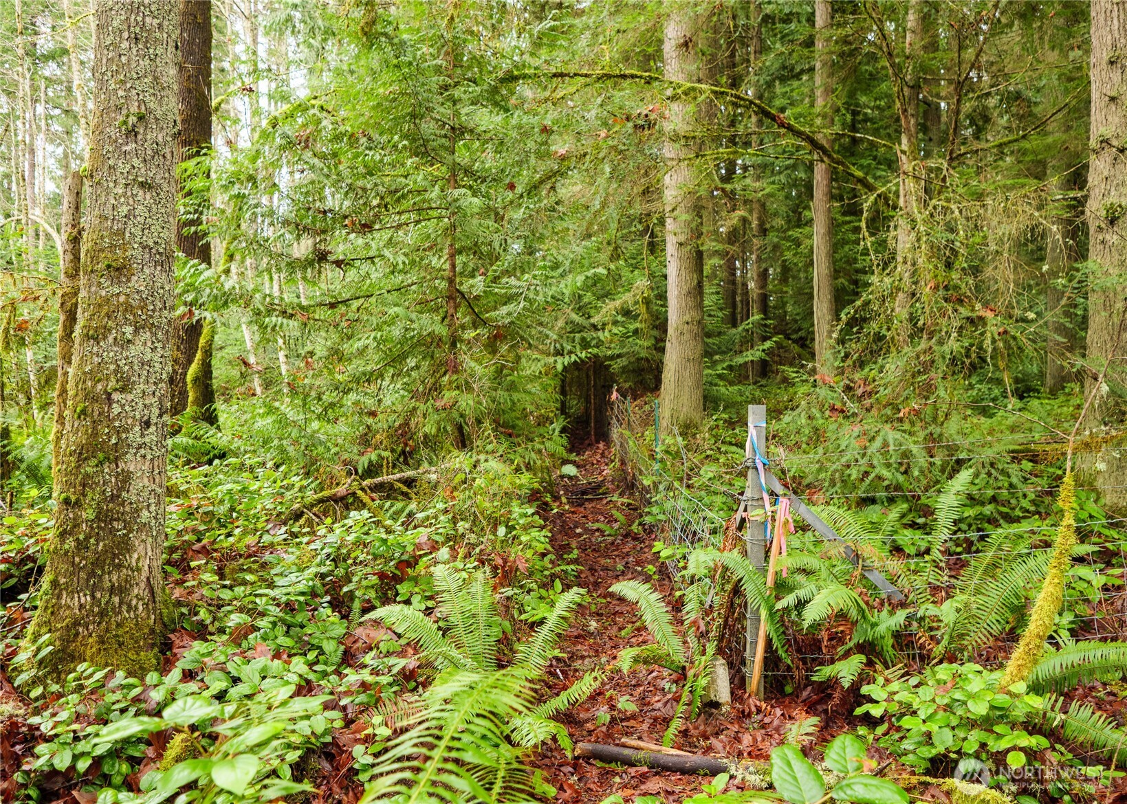 -nka East Scribner Road Port Angeles, WA 98362 - Photo 29 of 33