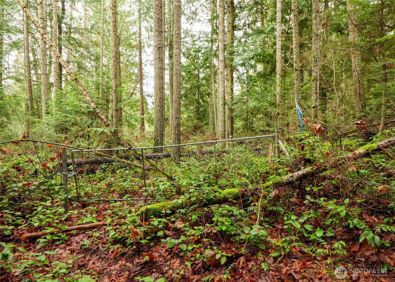 -nka East Scribner Road Port Angeles, WA 98362 - Photo 30 of 33 a view of a yard