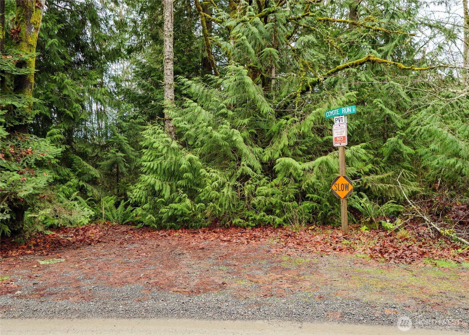 -nka East Scribner Road Port Angeles, WA 98362 - Photo 32 of 33 a plant that is sitting in a garden