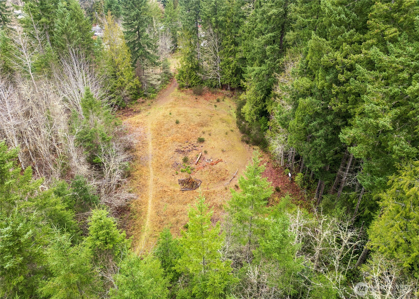 -nka East Scribner Road Port Angeles, WA 98362 - Photo 9 of 33 a view of a yard with trees