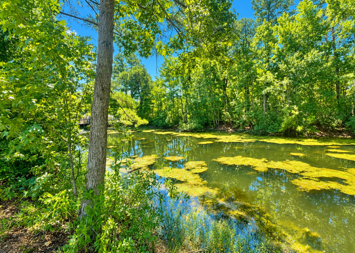 134 Wells Circle St. Stephen, SC 29479 - Photo 26 of 26 Pond