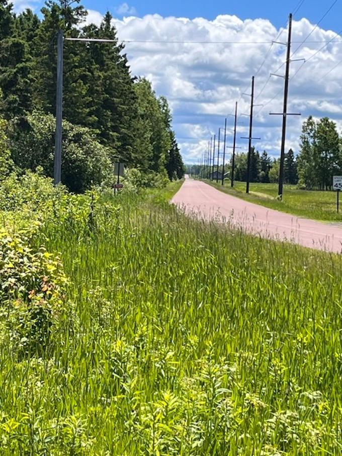 846-xx Lenawee Road Herbster, WI 54844 - Photo 6 of 26