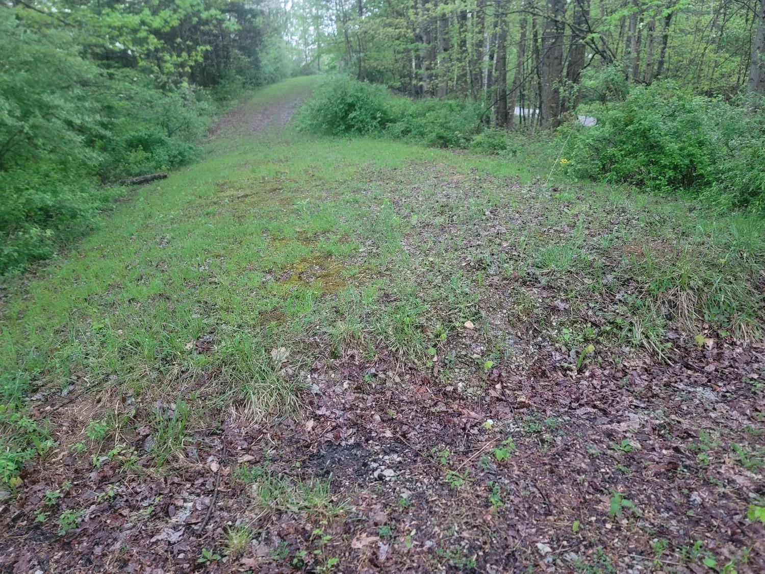 3103 South Friendship Road Versailles, IN 47042 - Photo 6 of 8 Gallery Image 6
