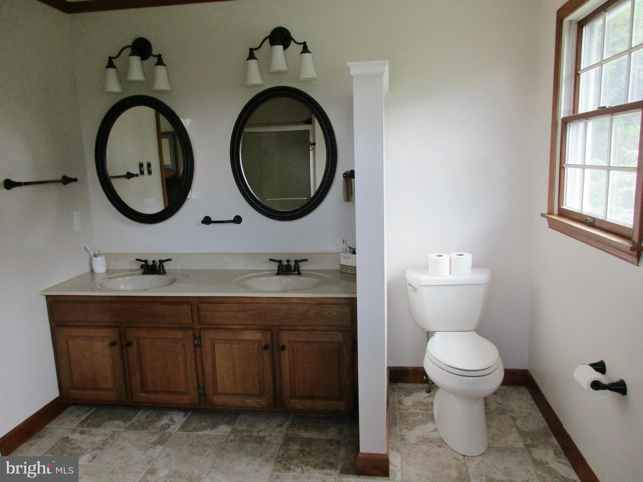 8798 Monumental Mills Road Rixeyville, VA 22737 - Photo 16 of 26 Bath (Master)