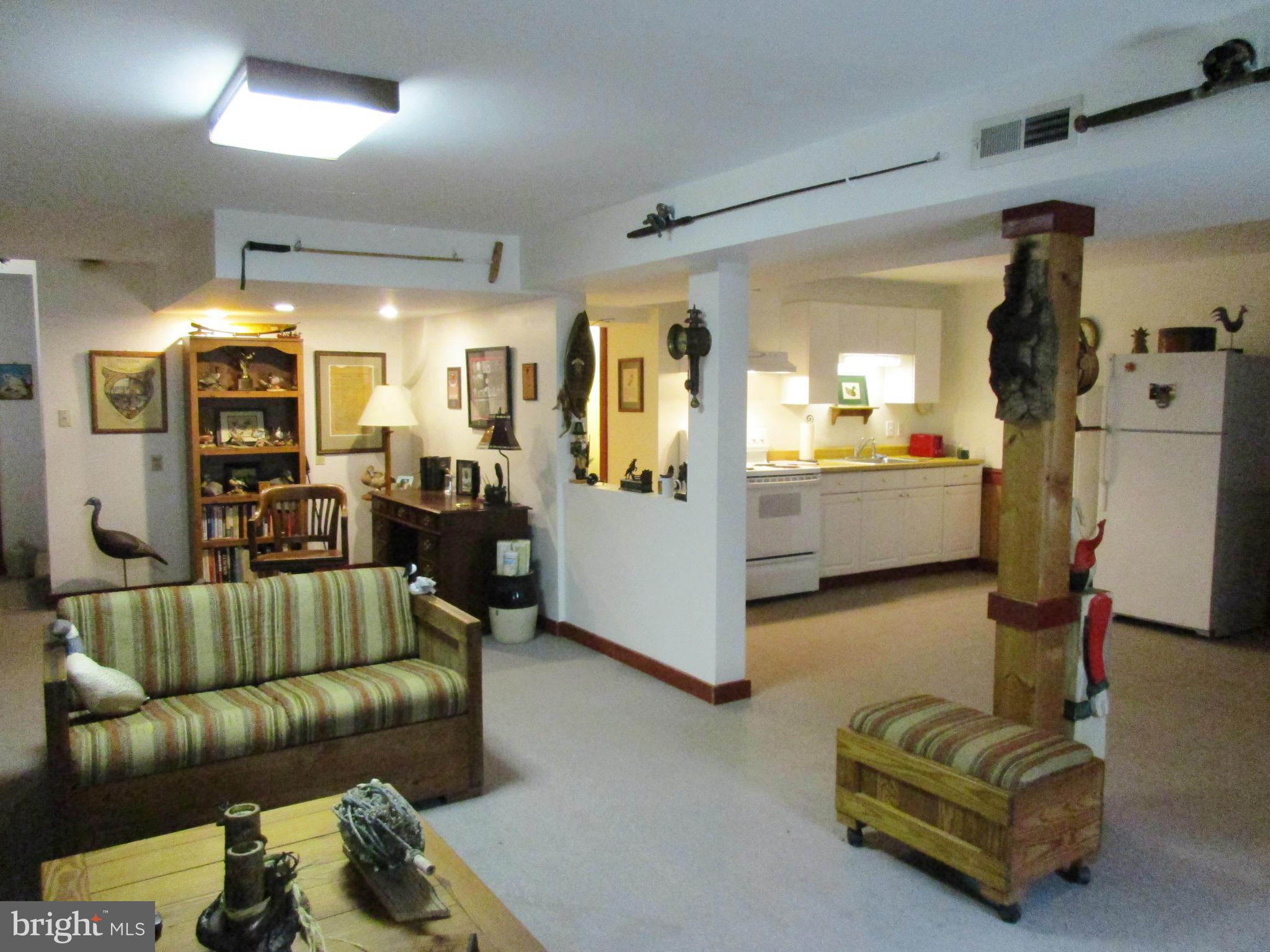 8798 Monumental Mills Road Rixeyville, VA 22737 - Photo 19 of 26 Basement
