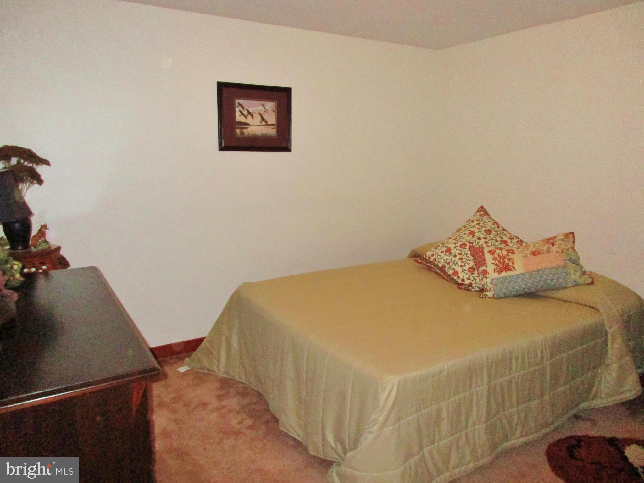 8798 Monumental Mills Road Rixeyville, VA 22737 - Photo 20 of 26 Basement