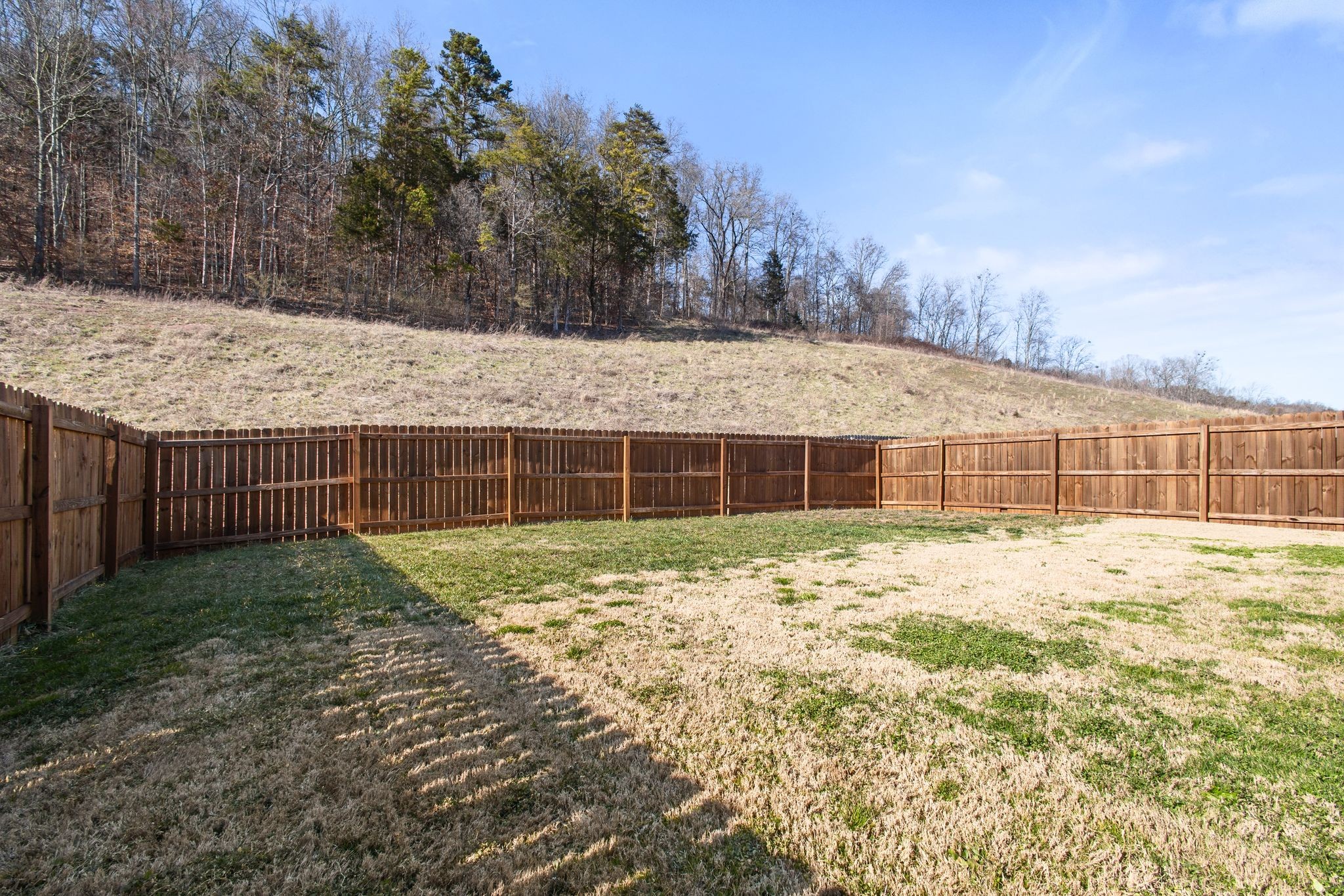120 Ibis Loop Oak Ridge, TN 37830 - Photo 43 of 44 Gallery Image 43