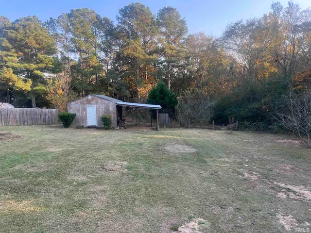 a view of a forest with trees in the background