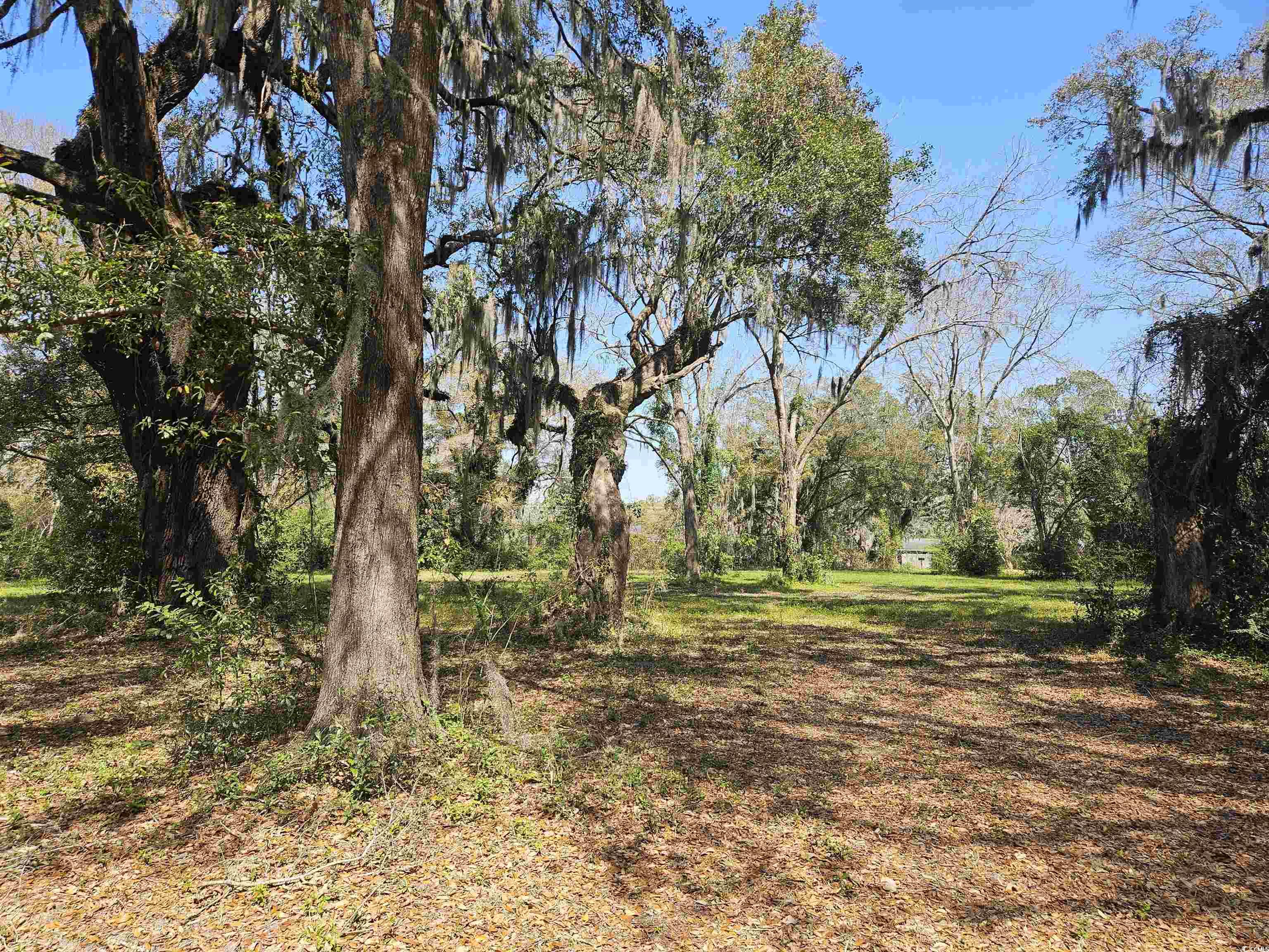 155 County Rd S-22-592 Georgetown, SC 29440 - Photo 1 of 2 Gallery Image 1