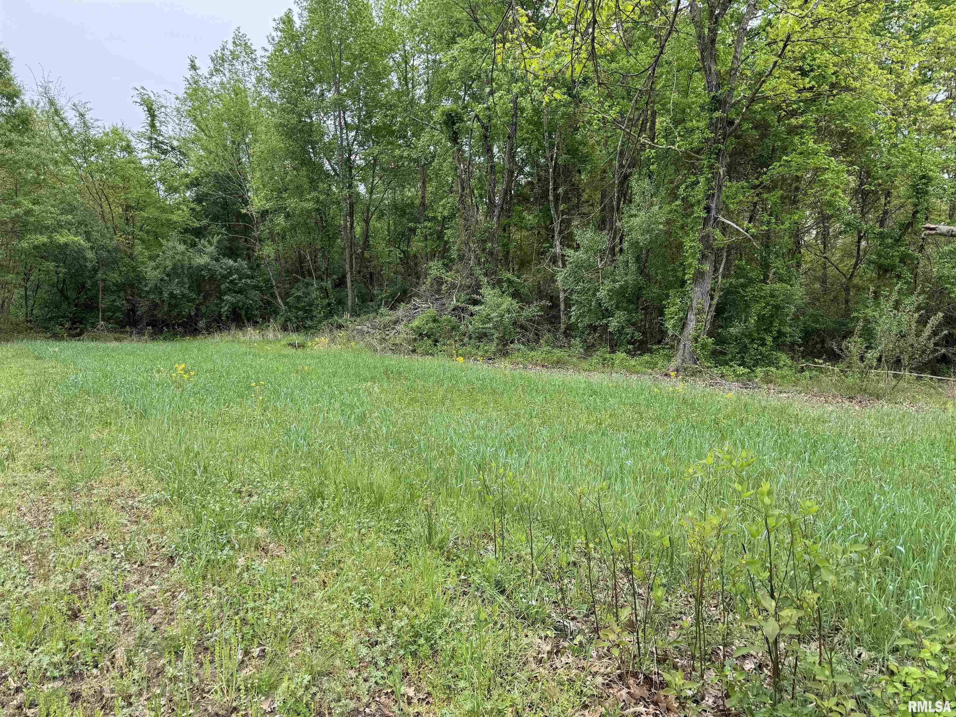 0 Shady Rest Road Marion, IL 62959 - Photo 15 of 30