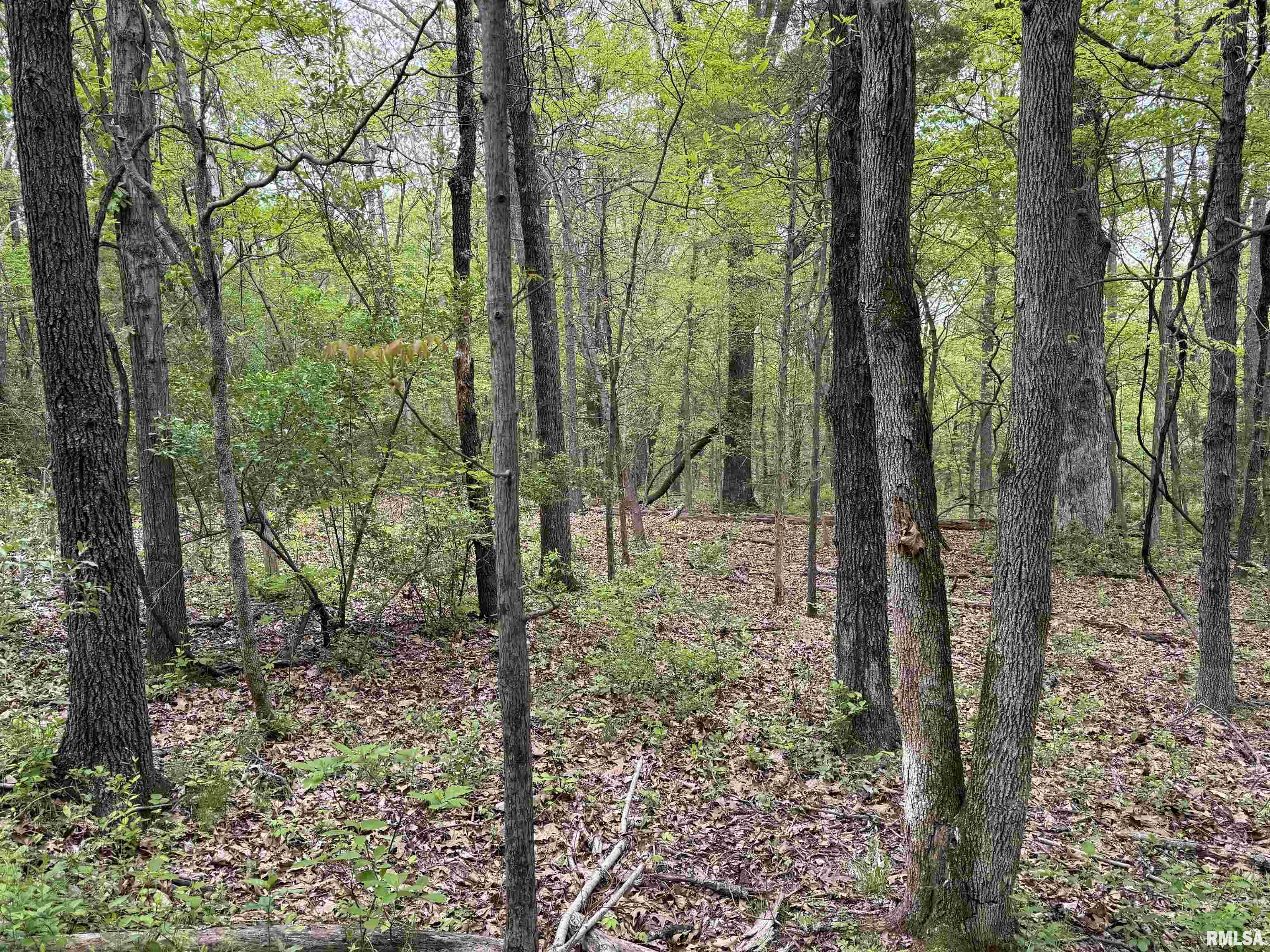 0 Shady Rest Road Marion, IL 62959 - Photo 16 of 30