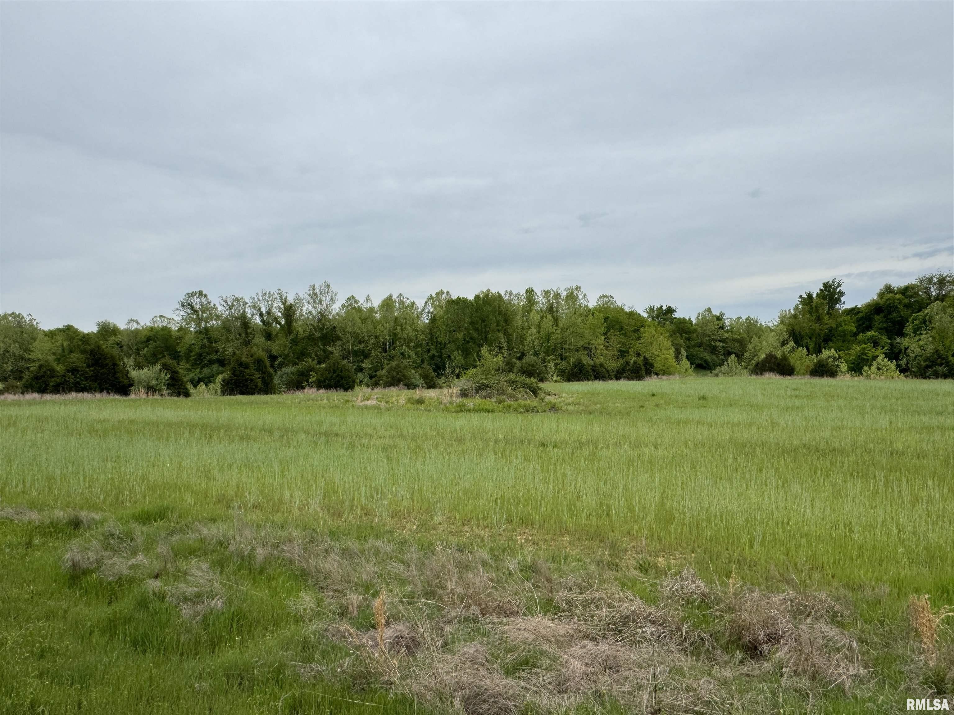 0 Shady Rest Road Marion, IL 62959 - Photo 19 of 30