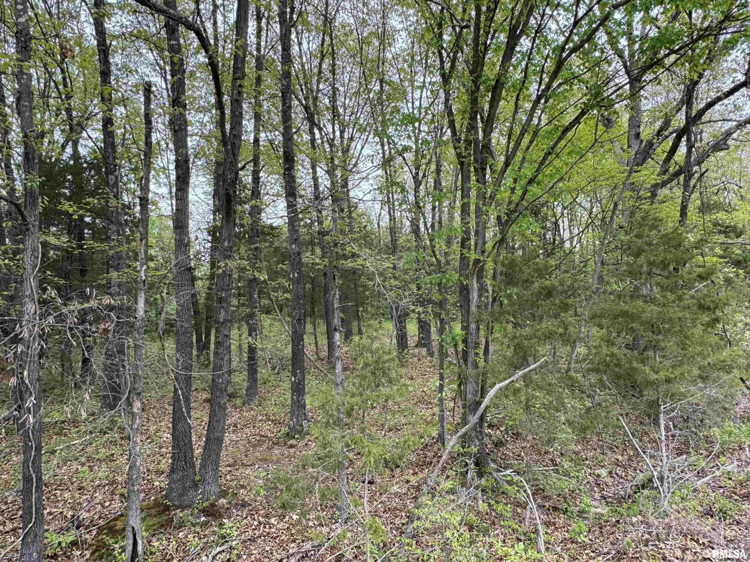 0 Shady Rest Road Marion, IL 62959 - Photo 20 of 30