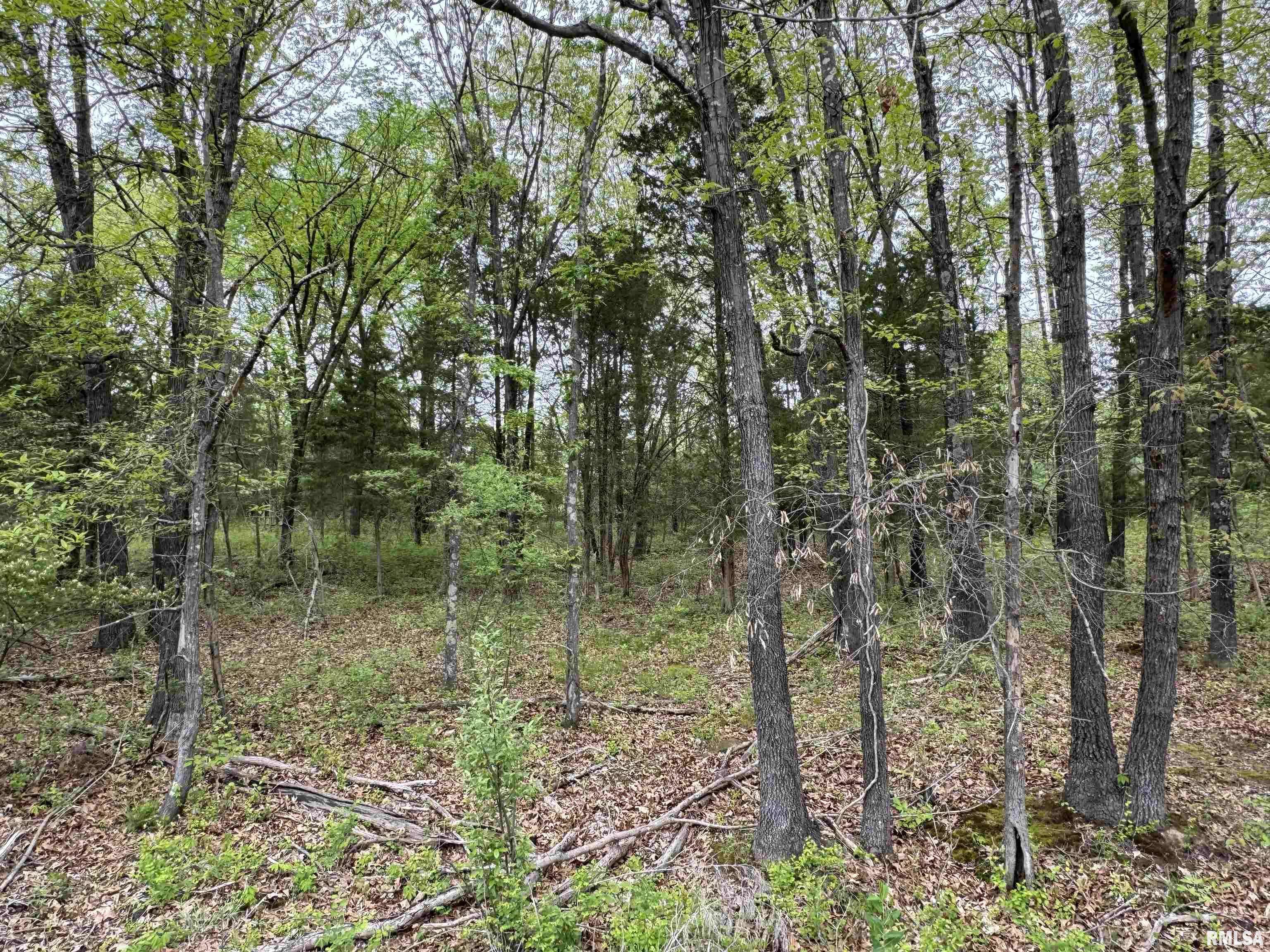 0 Shady Rest Road Marion, IL 62959 - Photo 21 of 30