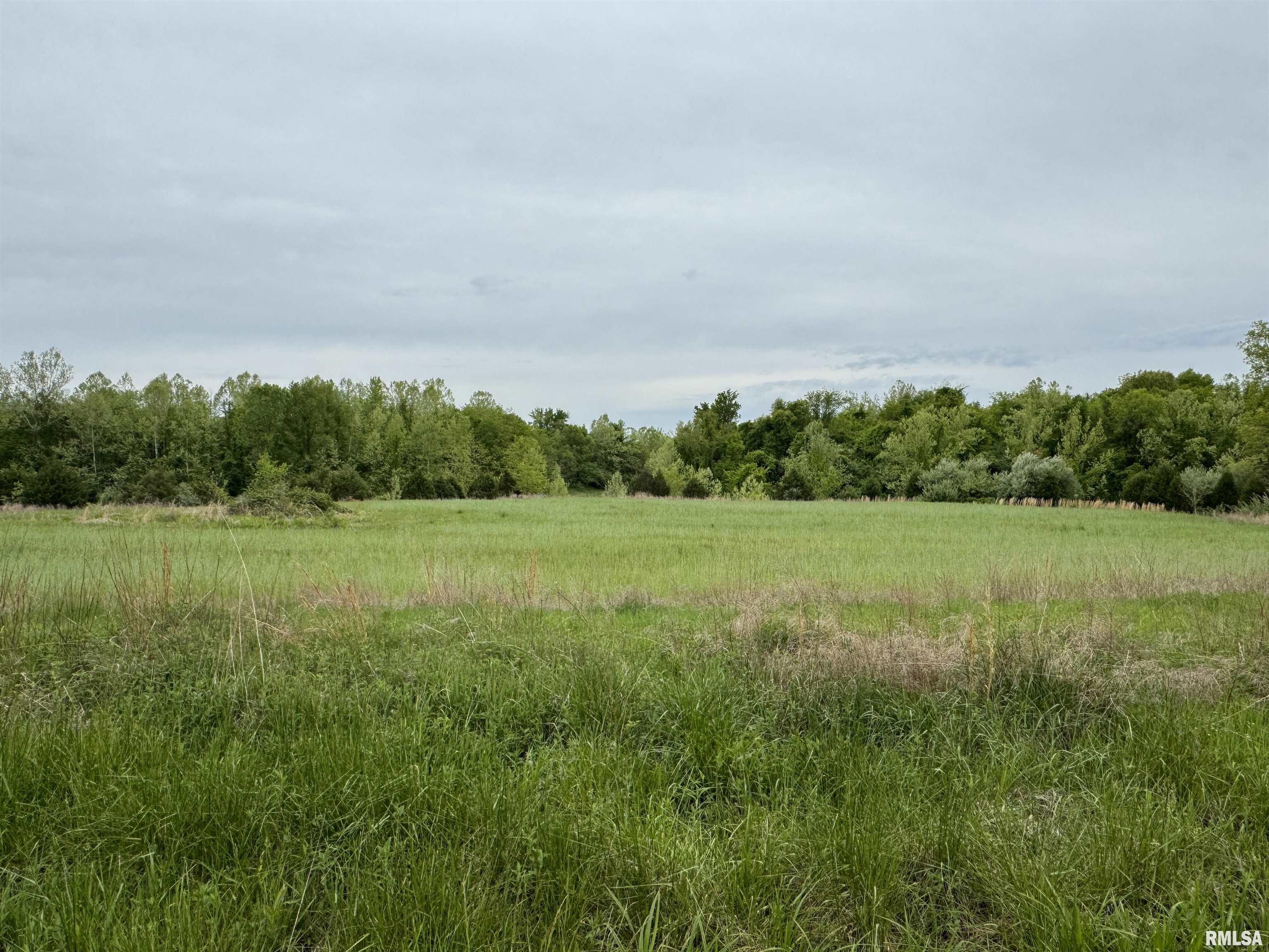 0 Shady Rest Road Marion, IL 62959 - Photo 22 of 30