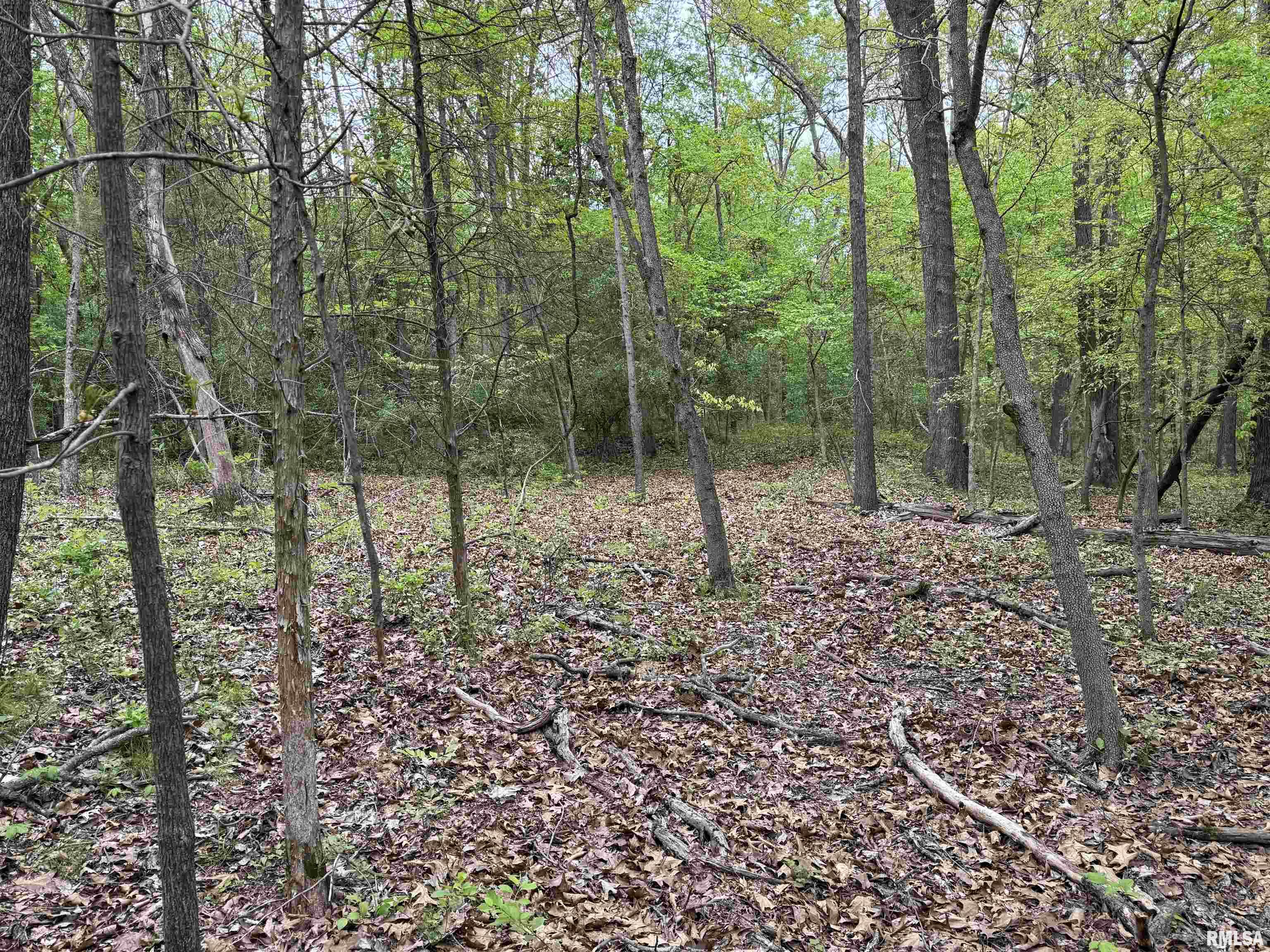 0 Shady Rest Road Marion, IL 62959 - Photo 23 of 30