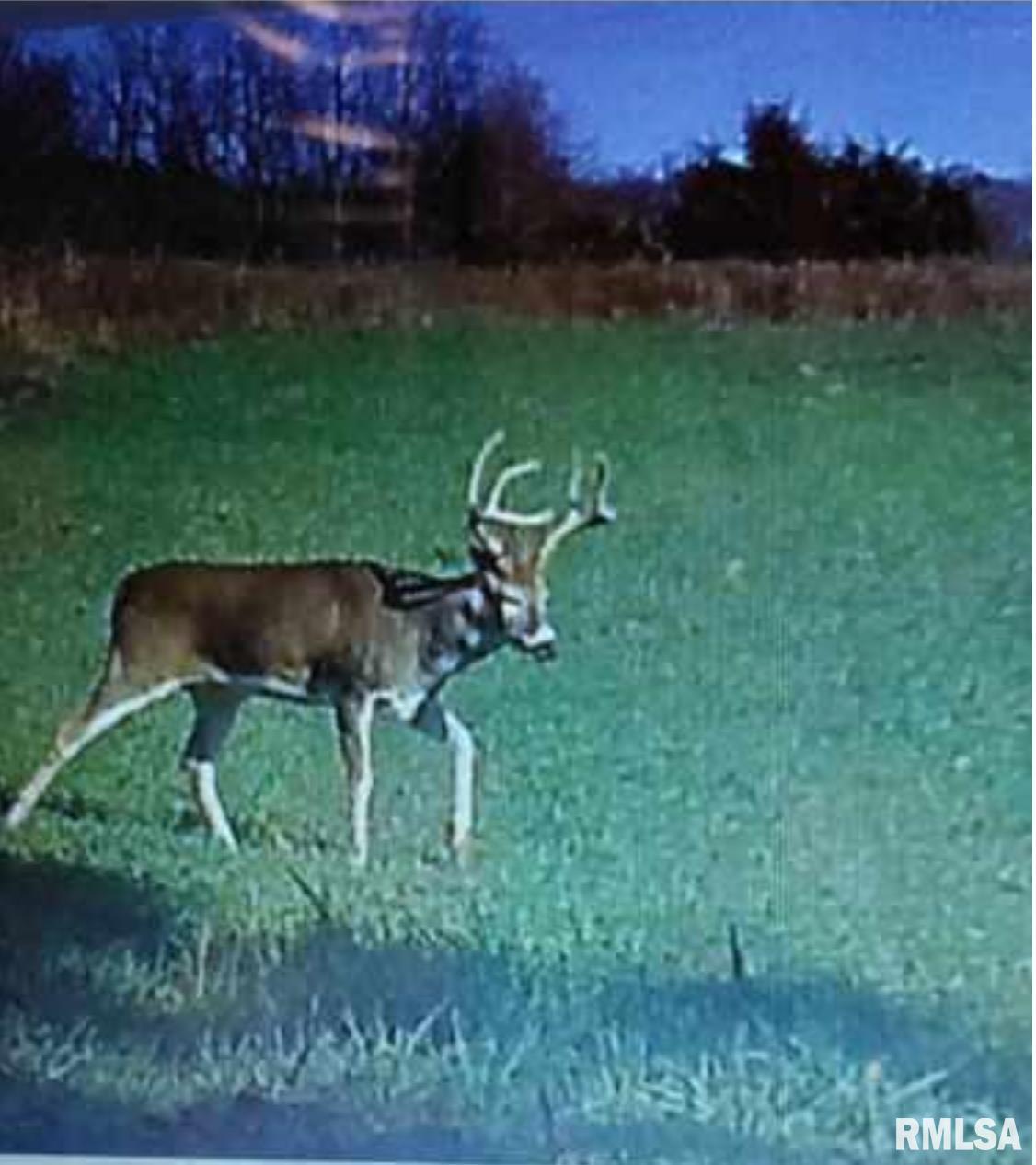 0 Shady Rest Road Marion, IL 62959 - Photo 29 of 30