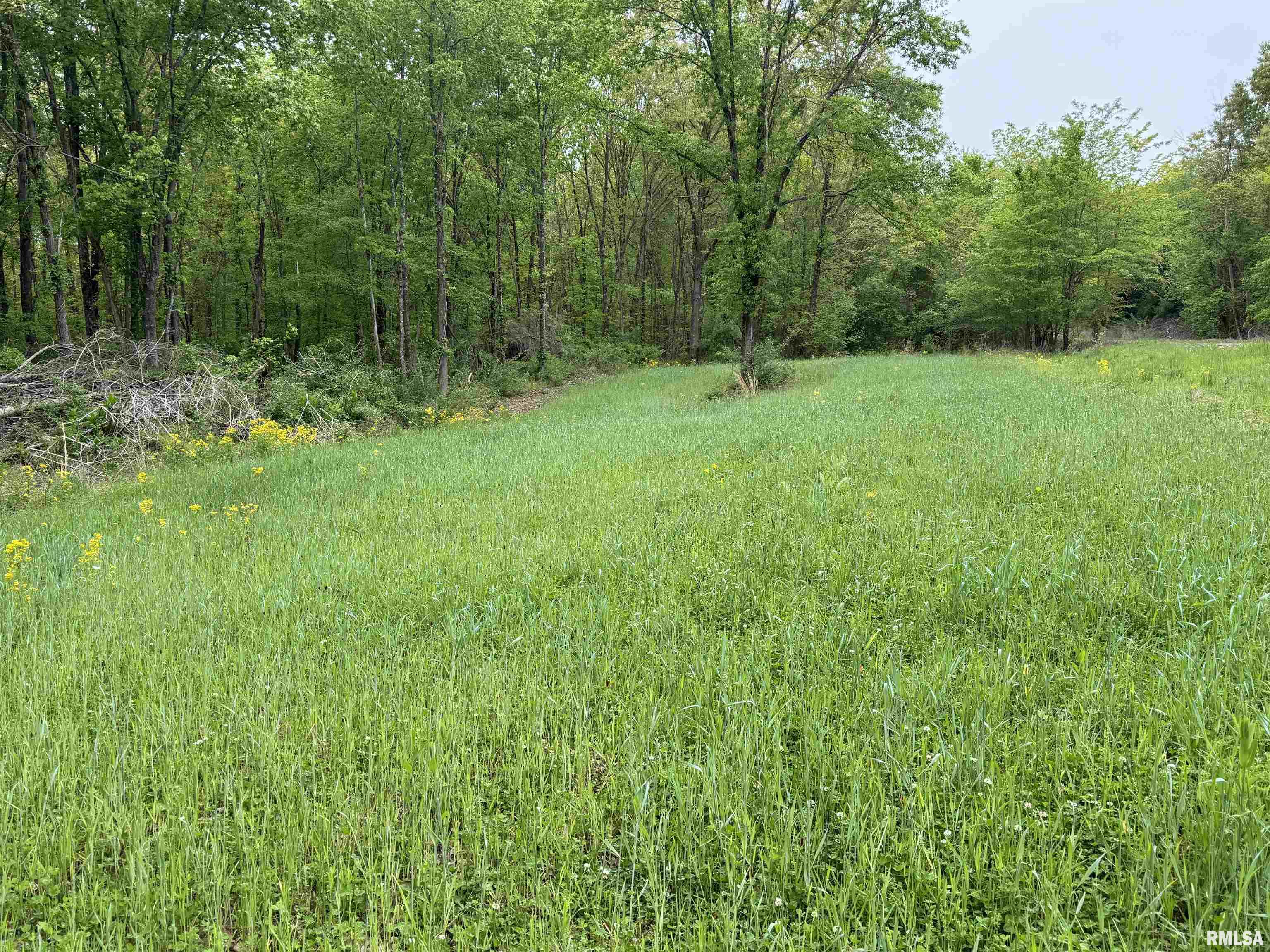 0 Shady Rest Road Marion, IL 62959 - Photo 3 of 30