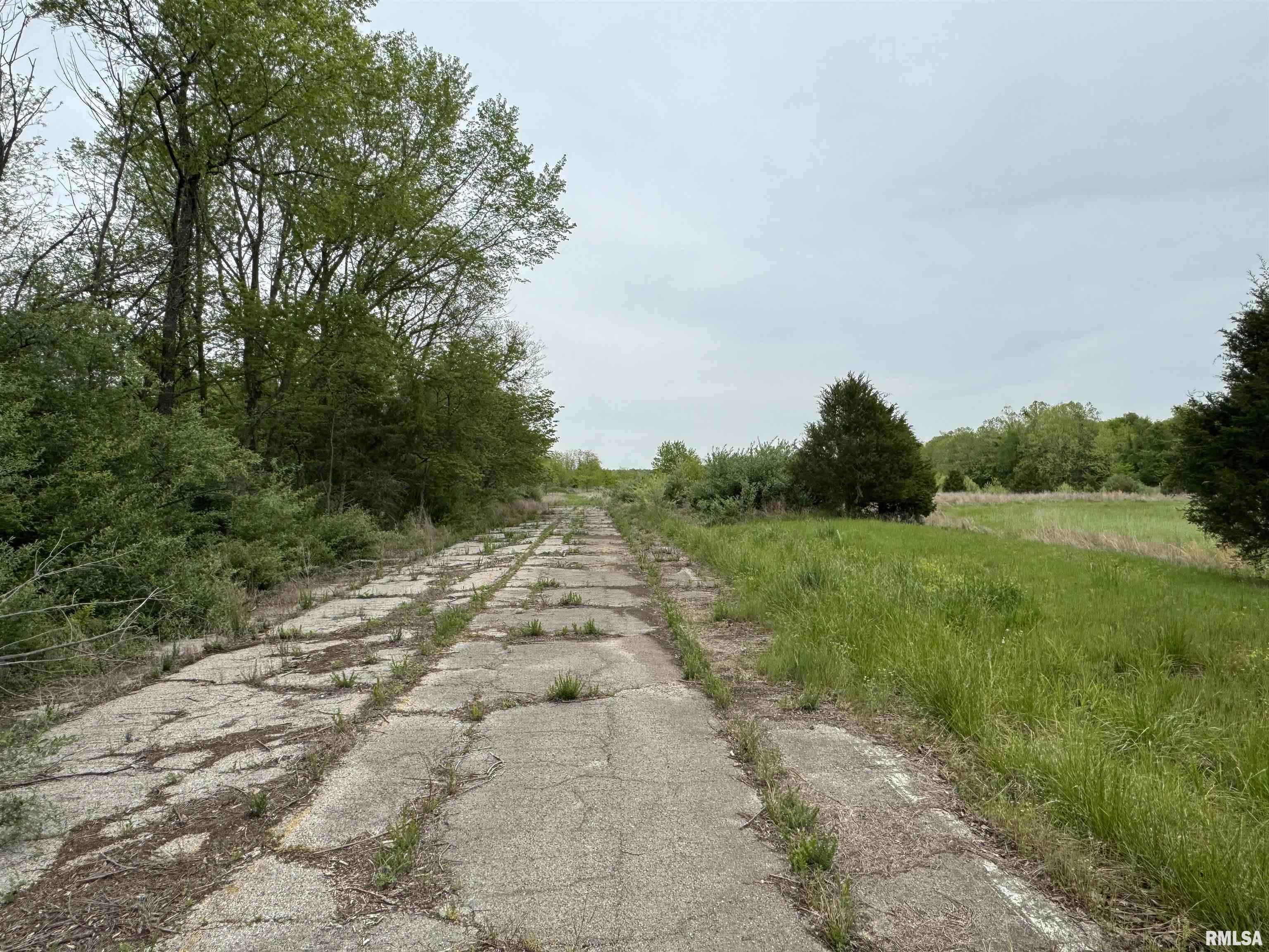 0 Shady Rest Road Marion, IL 62959 - Photo 8 of 30