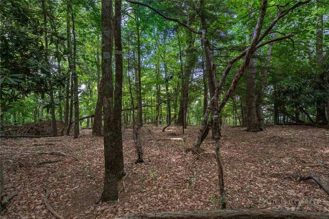 Lot 4 Old Orchard Road Lenoir, NC 28645 - Photo 2 of 23