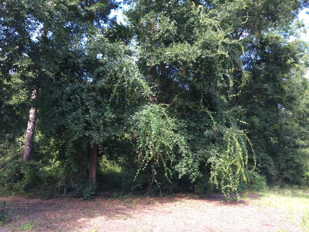 10 Taylor Woods Road DeLand, FL 32724 - Photo 1 of 1 Gallery Image 1