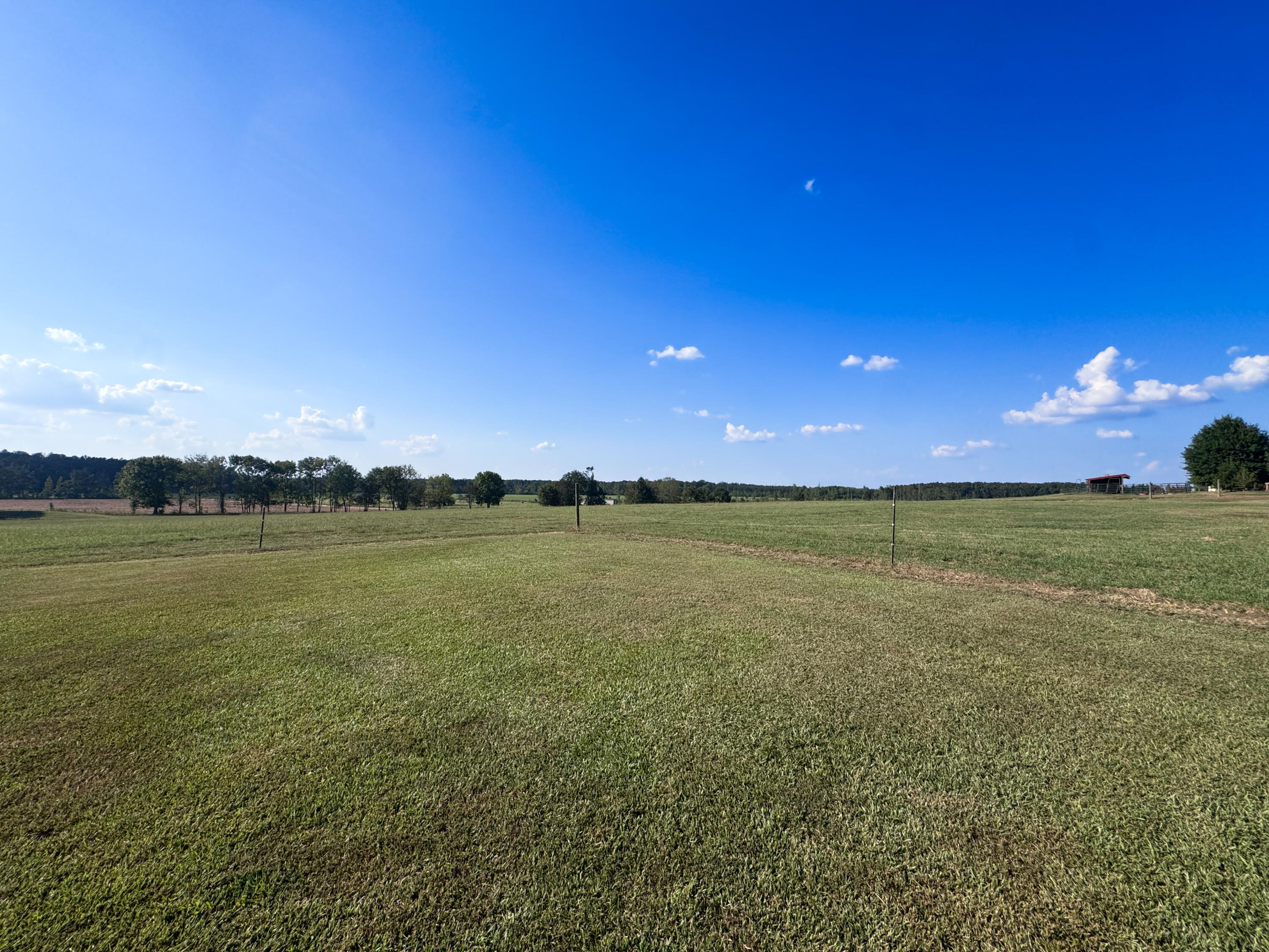 1251 Coleman Road Thaxton, MS 38871 - Photo 31 of 35 Gallery Image 31