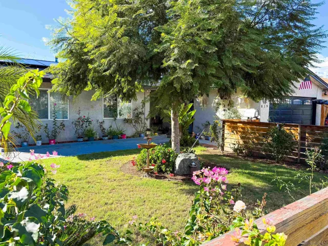 a view of a flower in a yard with swimming pool