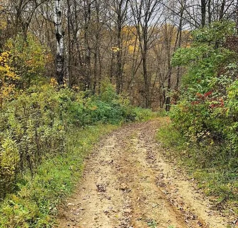 $47,900 | 0 Skyview Lane, Wauzeka, WI 53826