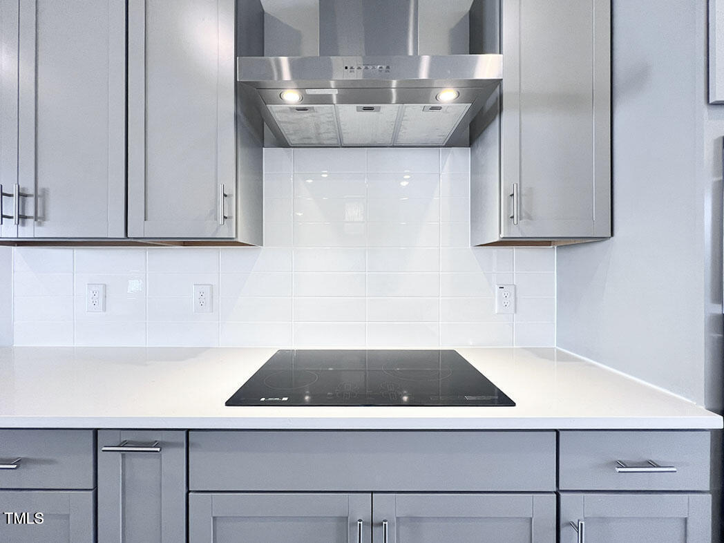 1247 Shaw View Alley, Unit 201 Raleigh, NC 27601 - Photo 11 of 49 kitche 4