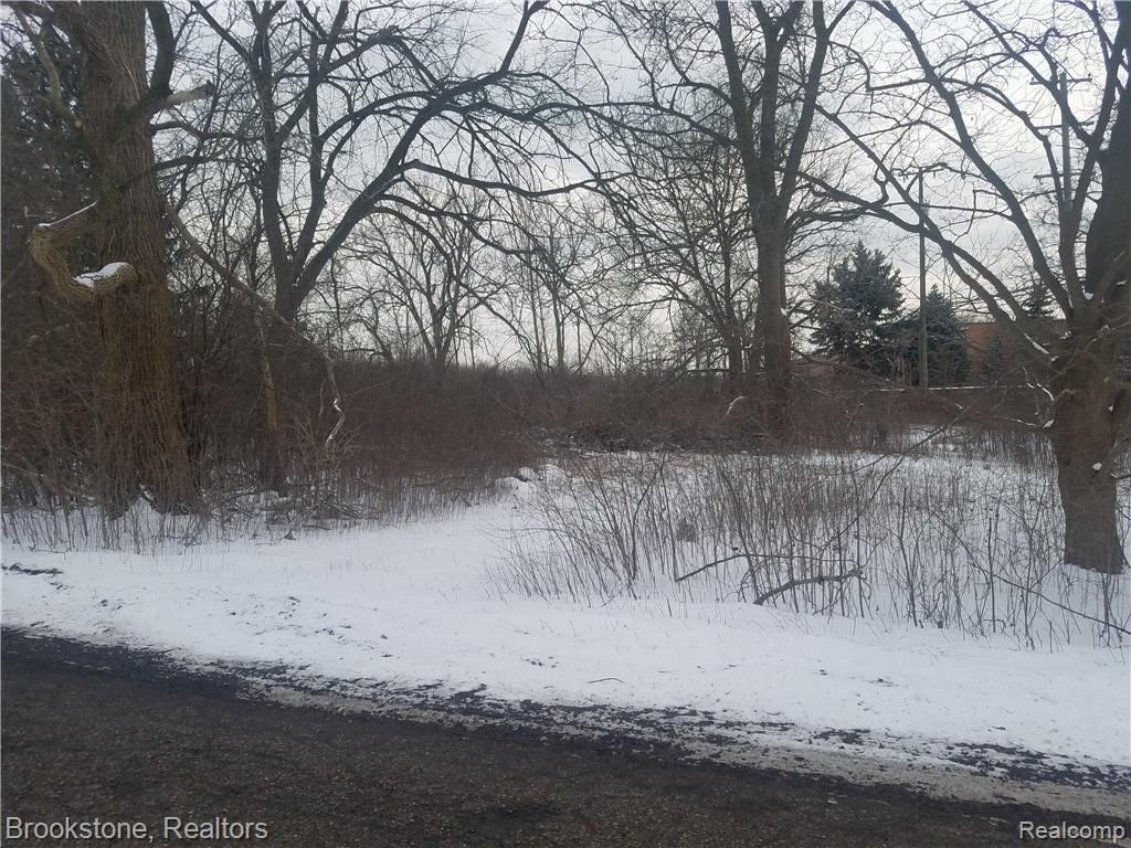 0 South Pemberton Road Bloomfield Hills, MI 48302 - Photo 2 of 3
