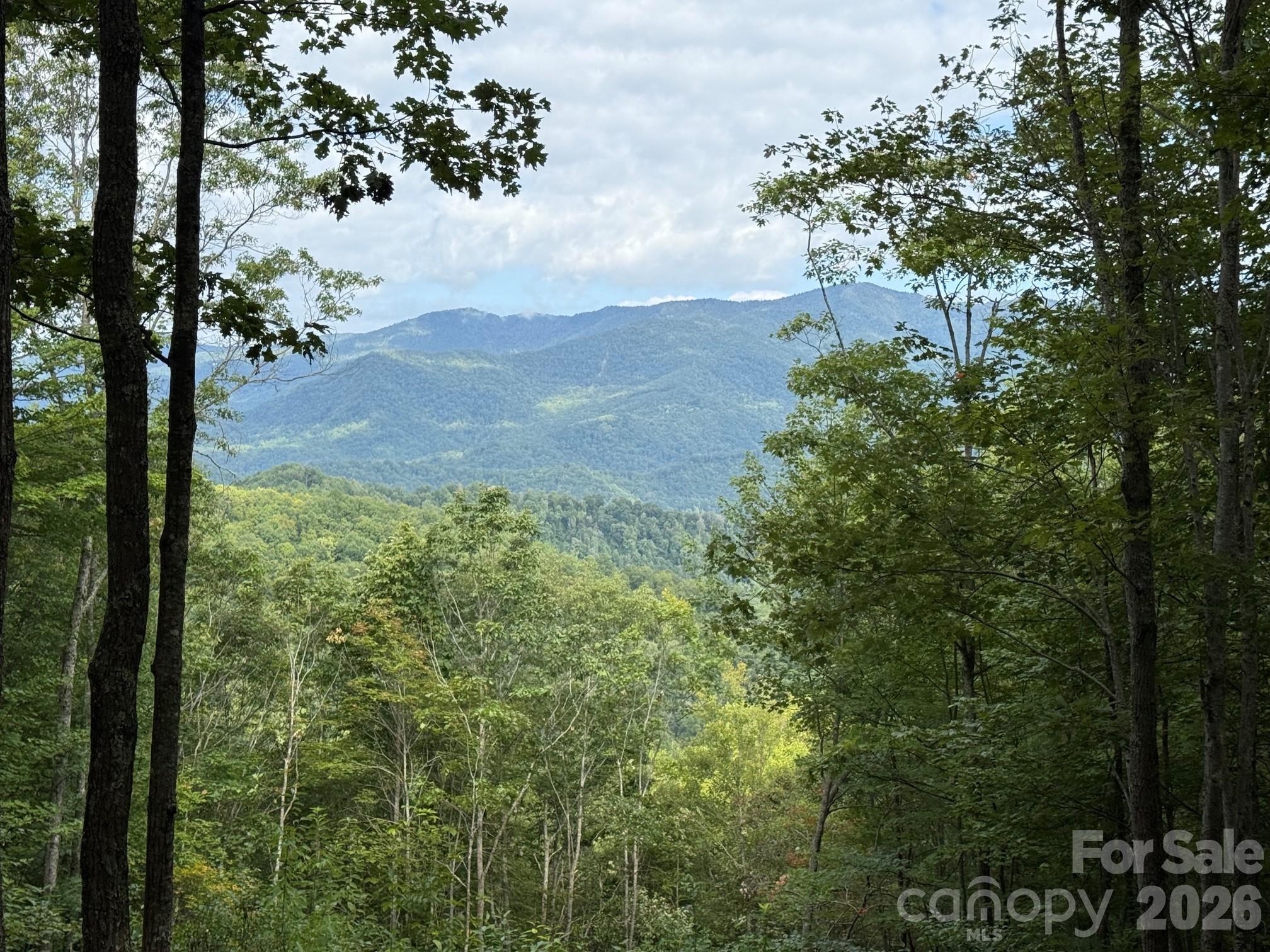 262 Tote Road, Unit 262 Sylva, NC 28779 - Photo 3 of 21