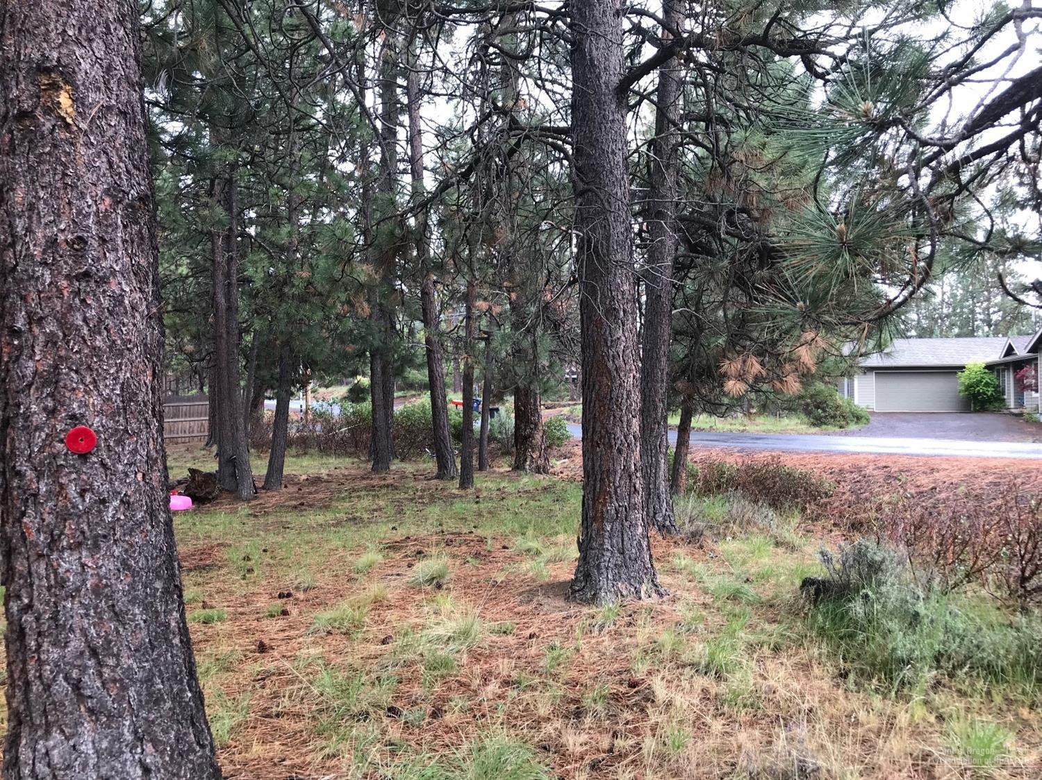 60228 Crater Road Bend, OR 97702 - Photo 3 of 4 Additional Photo