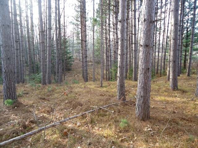 N10689 Tomptabo Road Gleason, WI 54435 - Photo 18 of 20 Gallery Image 18