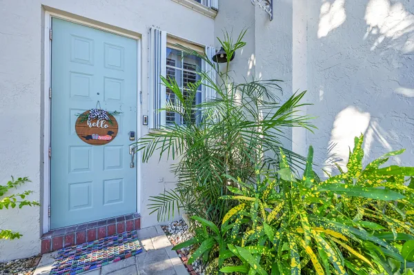 a potted plant sitting in front of a door