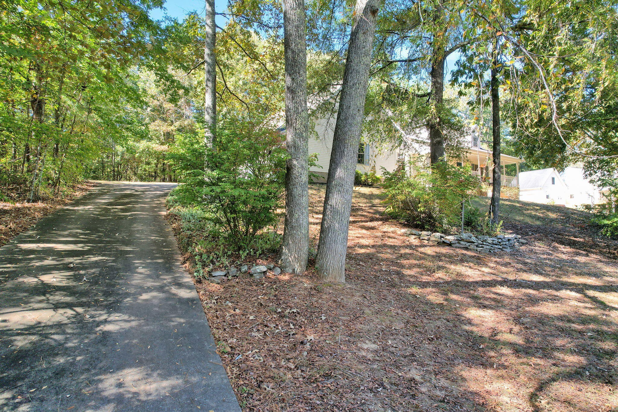 1582 Eads Bluff Road Northwest Georgetown, TN 37336 - Photo 46 of 57 a view of a yard with plants and trees