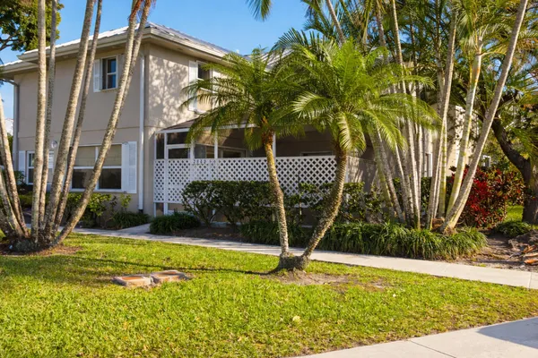a view of a backyard with plants