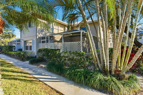 a view of a yard with plants