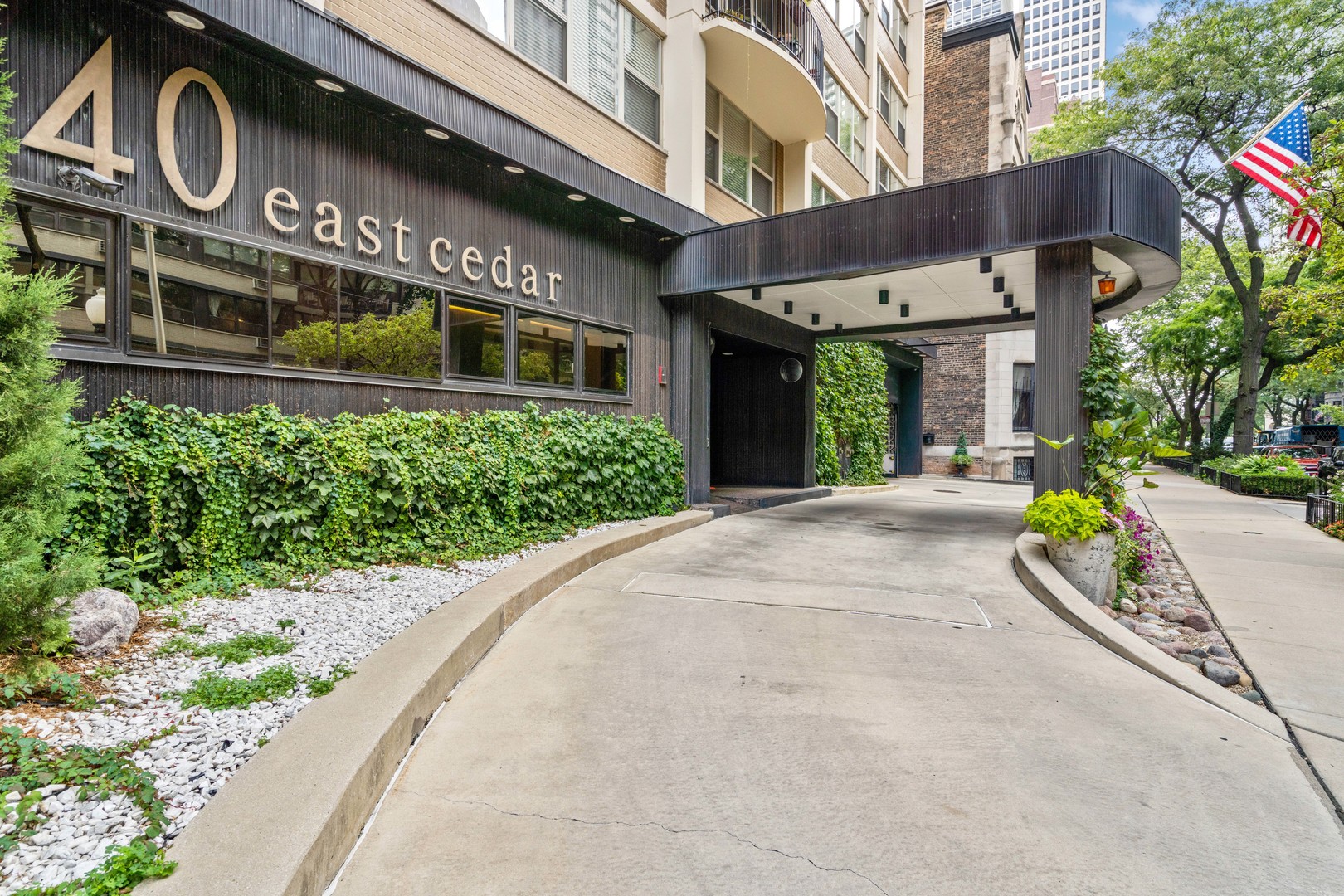 40 East Cedar Street, Unit 4D Chicago, IL 60611 - Photo 2 of 18 a front view of a building