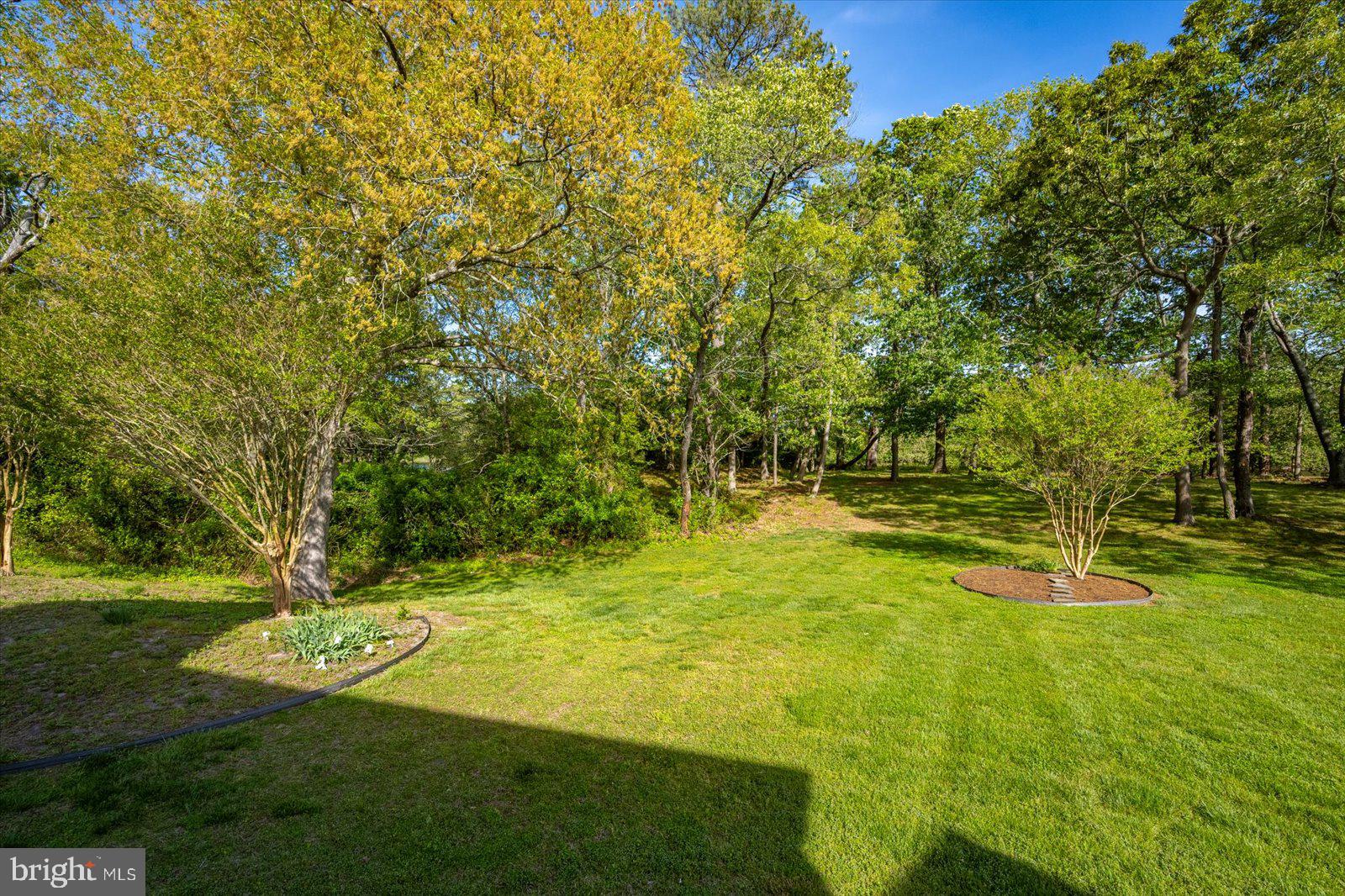 3431 Redden Ferry Road Eden, MD 21822 - Photo 75 of 103 Landscaping reaches through the back