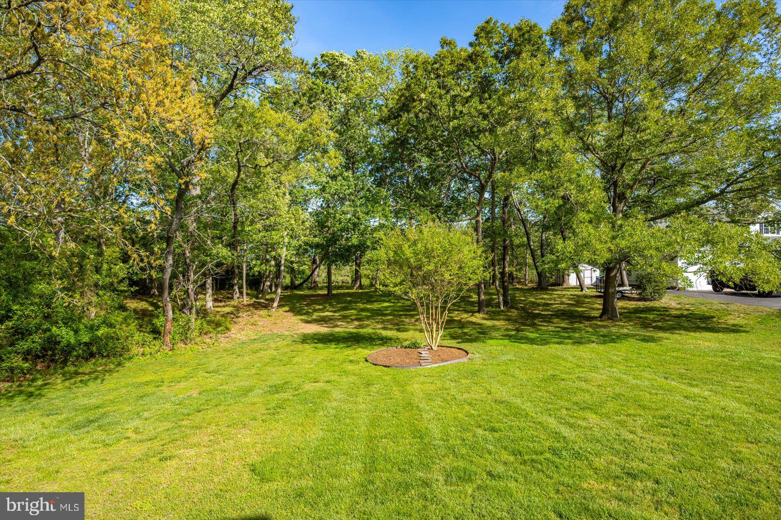 3431 Redden Ferry Road Eden, MD 21822 - Photo 76 of 103 a view of a yard with swimming pool
