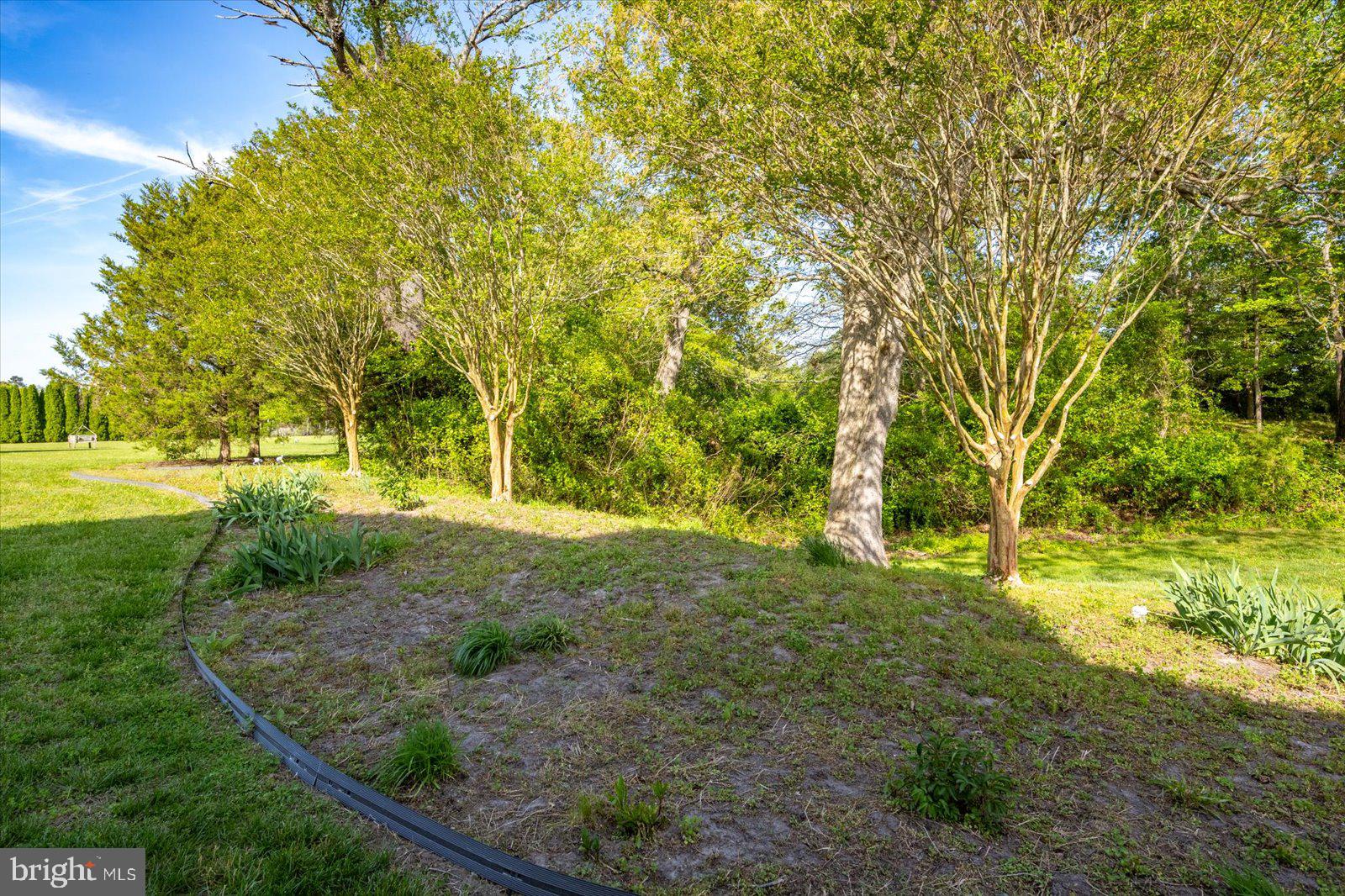 3431 Redden Ferry Road Eden, MD 21822 - Photo 77 of 103 Flower beds to put the flowering.... everything