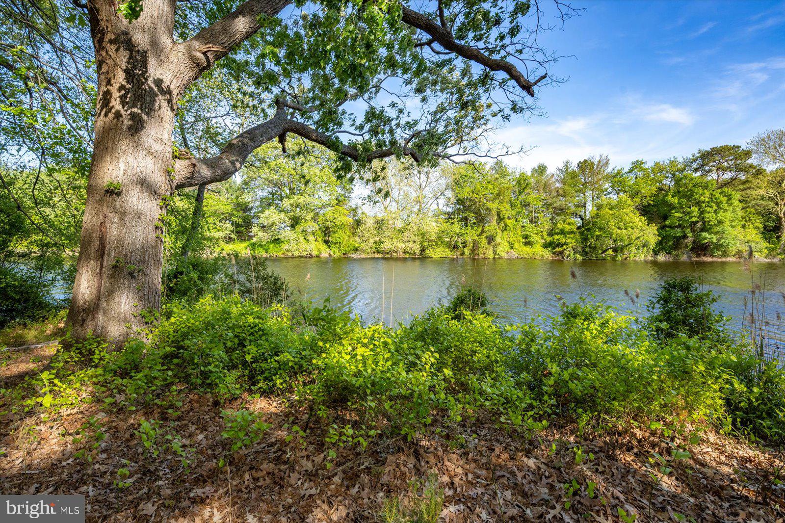 3431 Redden Ferry Road Eden, MD 21822 - Photo 83 of 103 oh yeah, you can get used to this