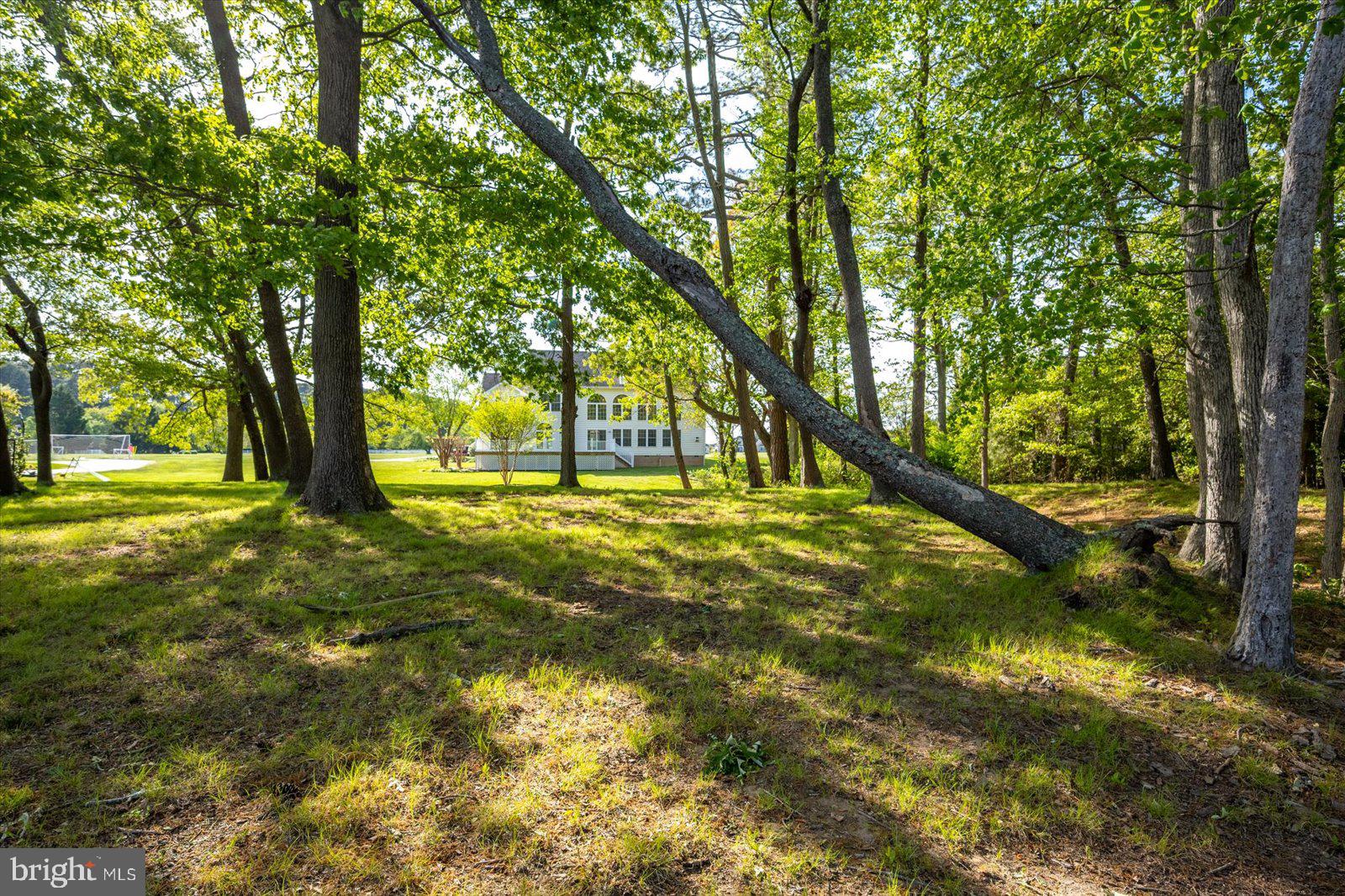 3431 Redden Ferry Road Eden, MD 21822 - Photo 87 of 103 Summer days look great from here