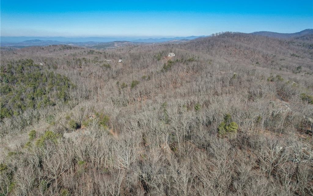 89 Blueberry Road Jasper, GA 30143 - Photo 38 of 41 Additional View