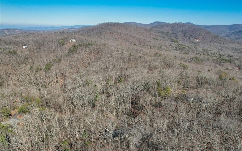 89 Blueberry Road Jasper, GA 30143 - Photo 39 of 41 Additional View