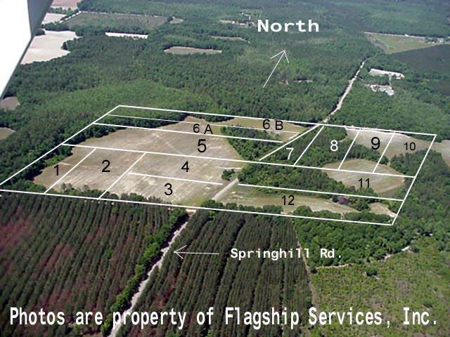 Tbd South Springhill Road Gordon, AL 36343 - Photo 1 of 2