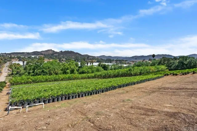 a view of a street with a yard